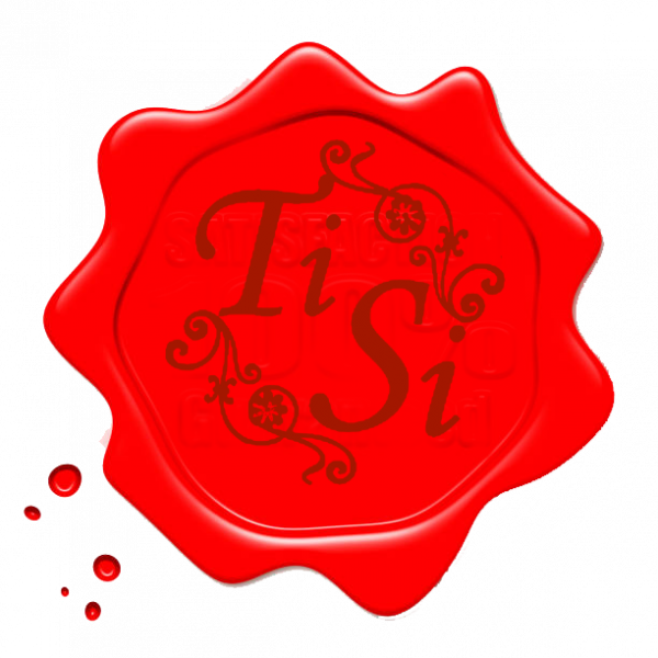 Лого на ТИ СИ 04 EООД