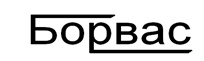 Лого на БОРВАС EООД