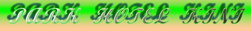 Лого на КИНИ ООД