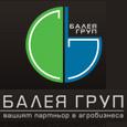 Лого на БАЛДЖИЕВИ-91 ООД