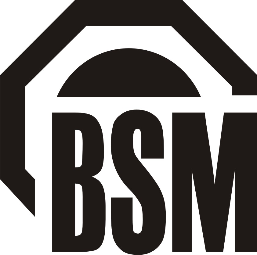 Лого на БСМ ООД