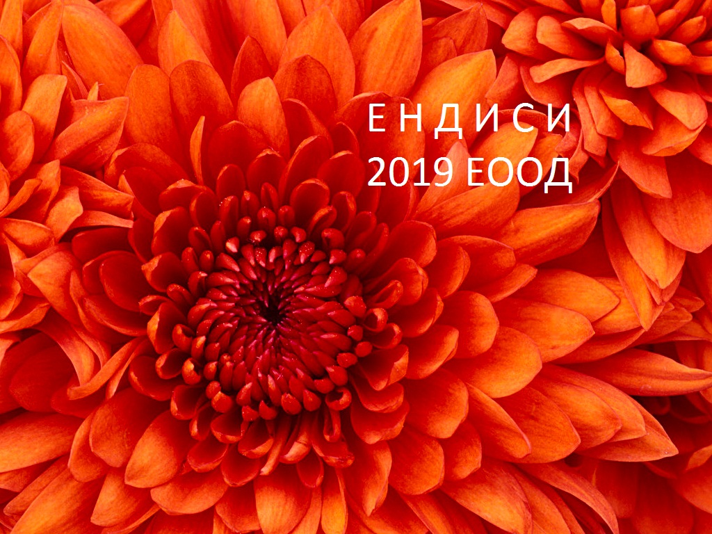 Лого на ЕНДИСИ 2019 EООД