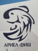 Лого на АРИЕЛ ФИШ ООД