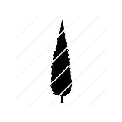 Лого на КИПАРИС- АЛЕКСАНДРА НОВАКОВА ООД