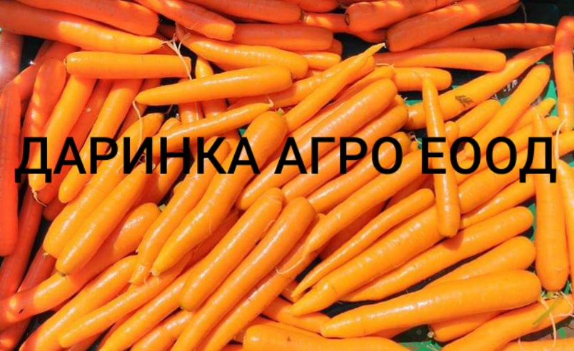 Лого на ДАРИНКА АГРО EООД