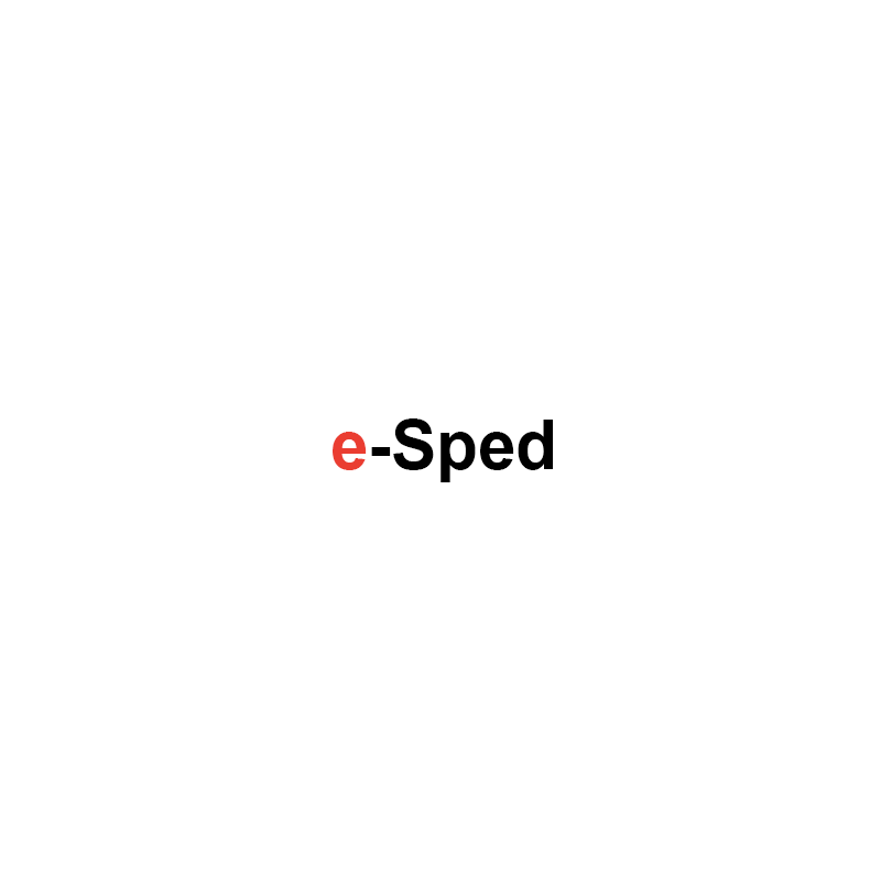 Лого на Е-СПЕД ООД