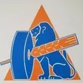 Лого на НАРА МЕЛ