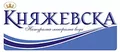 Лого на МИНЕРАЛНА ВОДА КНЯЖЕВО