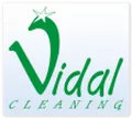 Лого на ВИДАЛ