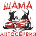 Лого на ШАМА-2