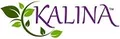 Лого на КАЛИНА-2012