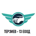 Лого на ТЕРЗИЕВ - 13
