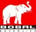 Лого на БОБАЛ-БОЯДЖИЕВ