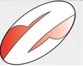 Лого на ЗДРАМИ